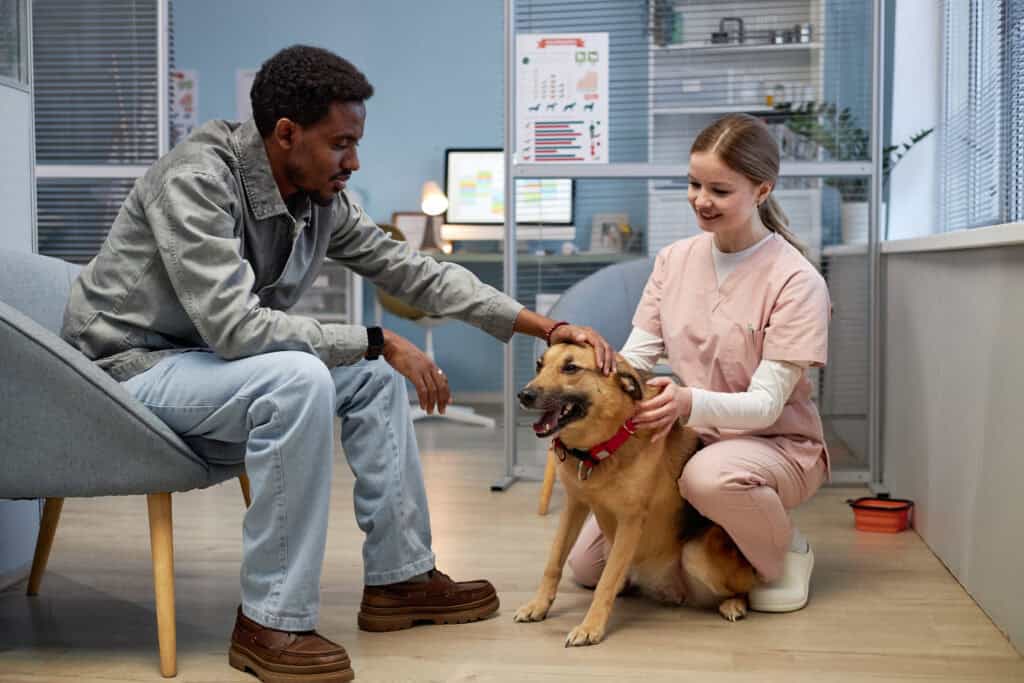 how can veterinary clinics improve their online reputation