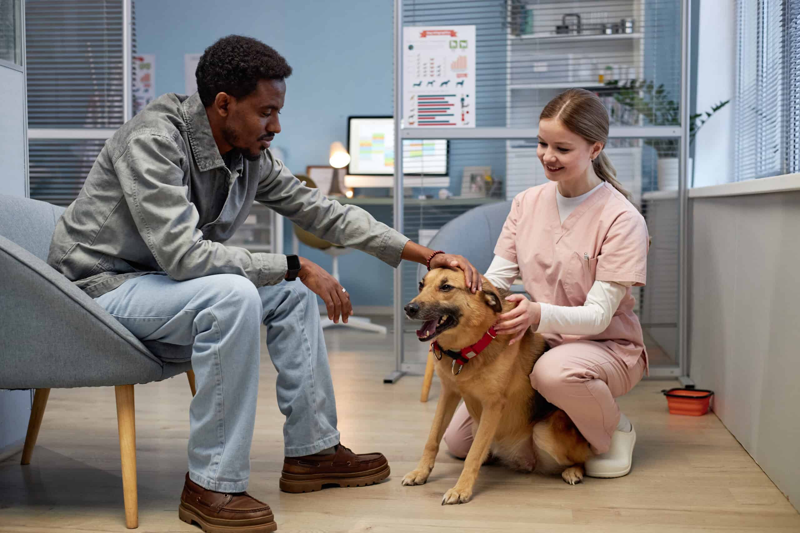 how can veterinary clinics improve their online reputation