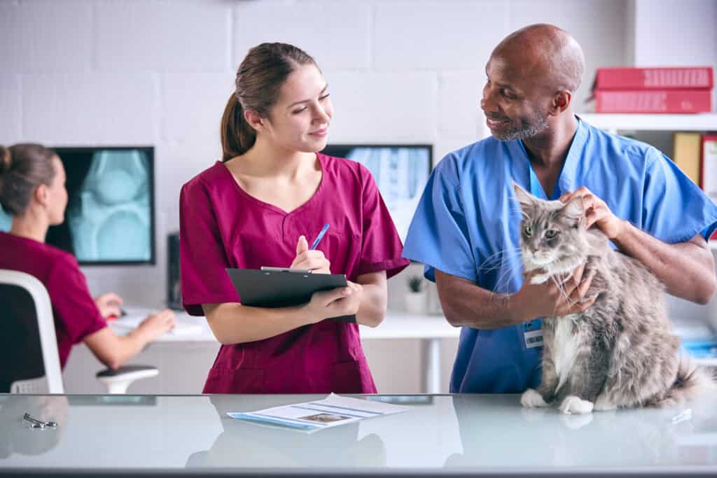 Veterinary Marketing in the Digital Age