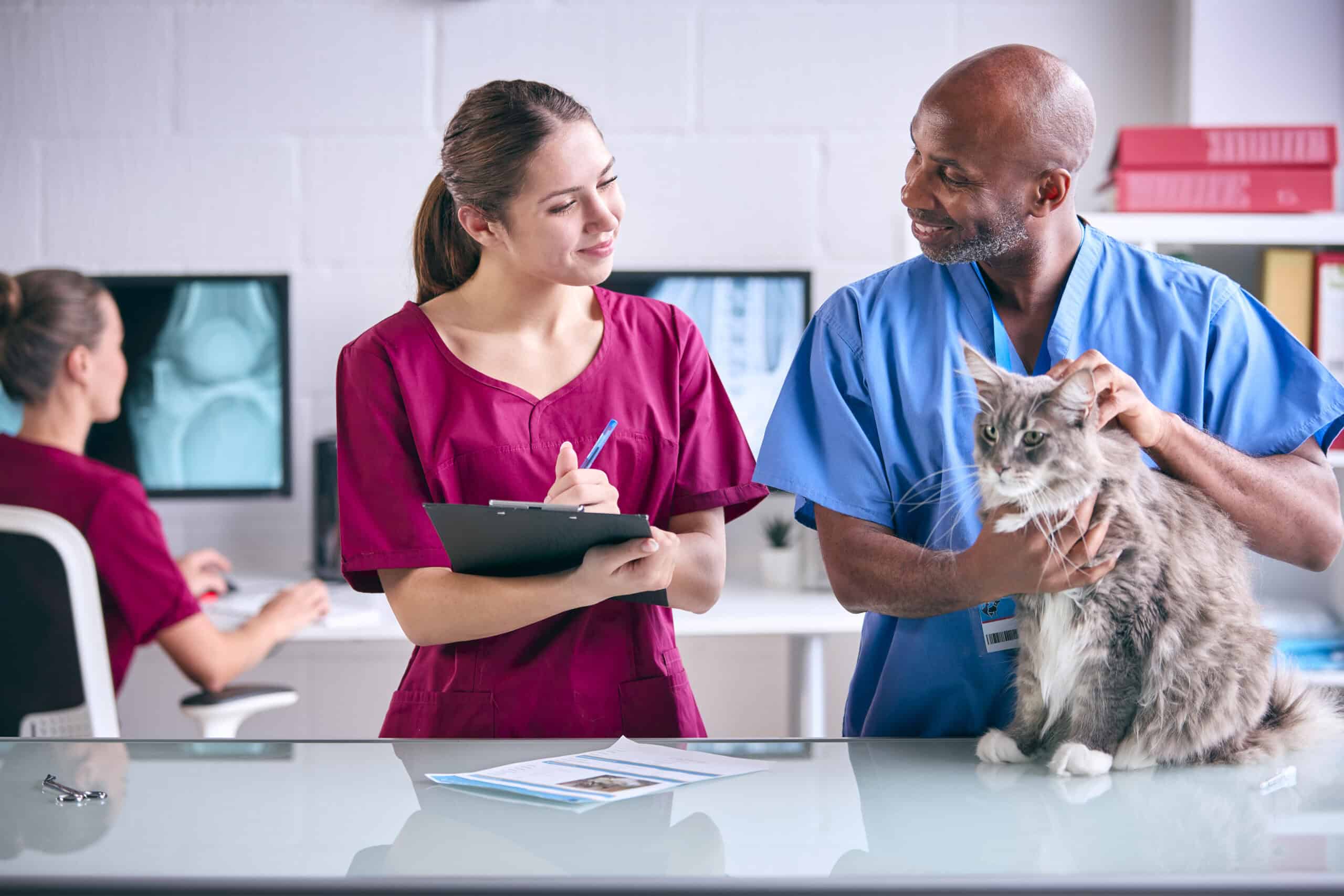 Veterinary Marketing in the Digital Age